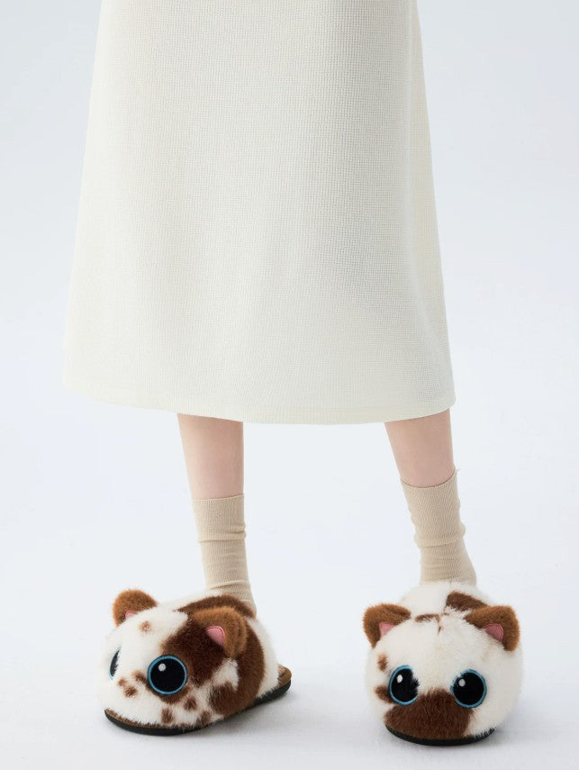 Kitty Slippers RACCOON-DOG